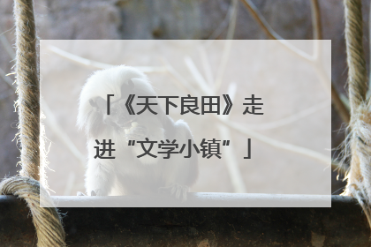 《天下良田》走进“文学小镇”