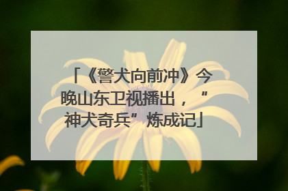 《警犬向前冲》今晚山东卫视播出，“神犬奇兵”炼成记