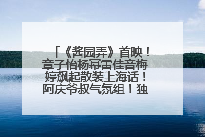 《酱园弄》首映！章子怡杨幂雷佳音梅婷飙起散装上海话！阿庆爷叔气氛组！独独没见他……