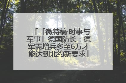 「微特稿·时事与军事」德国防长：德军需增兵多至6万才能达到北约新要求