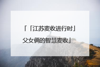 「江苏麦收进行时」父女俩的智慧麦收