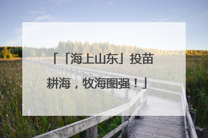 「海上山东」投苗耕海，牧海图强！