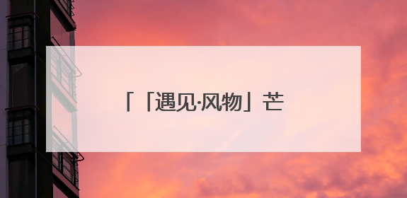 「遇见·风物」芒种：从“黄花地”到“黄金链” 丁嘴金针菜的“古法”经