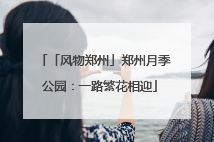 「风物郑州」郑州月季公园：一路繁花相迎