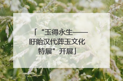 “玉得永生——盱眙汉代葬玉文化特展”开展