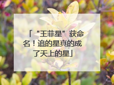“王菲星”获命名！追的星真的成了天上的星
