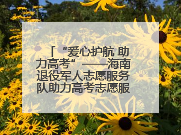 “爱心护航 助力高考”——海南退役军人志愿服务队助力高考志愿服务活动