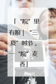 “皖”里有粮｜“三夏”时节，一“皖”麦香