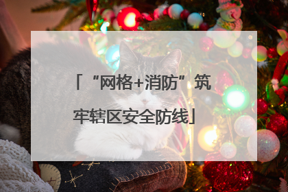 “网格+消防”筑牢辖区安全防线