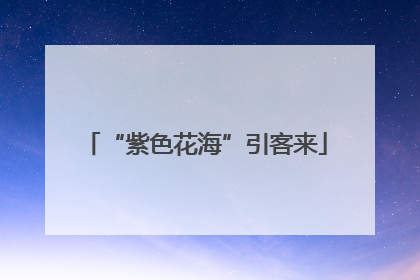 “紫色花海”引客来