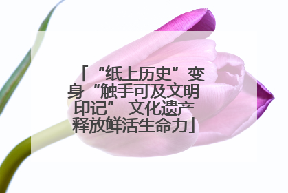 “纸上历史”变身“触手可及文明印记” 文化遗产释放鲜活生命力