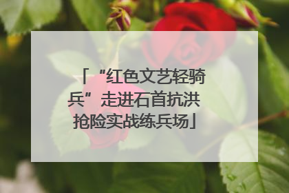 “红色文艺轻骑兵”走进石首抗洪抢险实战练兵场