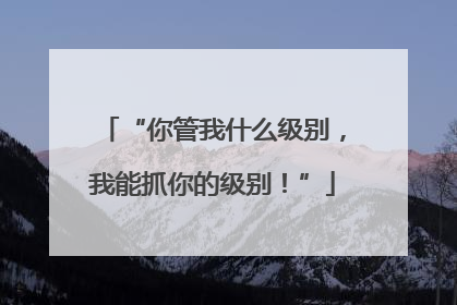 “你管我什么级别，我能抓你的级别！”