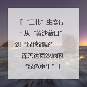 “三北”生态行：从“黄沙蔽日”到“绿毯铺野”——浑善达克沙地的“绿色重生”