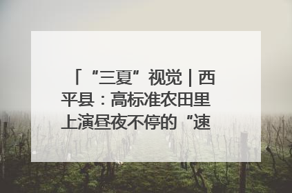 “三夏”视觉｜西平县：高标准农田里上演昼夜不停的“速度与激情”