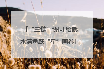 “三链”协同 绘就水清鱼跃“星”画卷