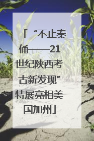 “不止秦俑——21世纪陕西考古新发现”特展亮相美国加州