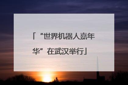 “世界机器人嘉年华”在武汉举行
