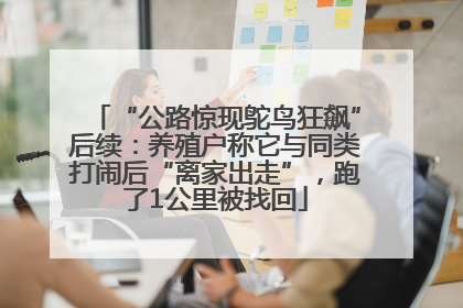 “公路惊现鸵鸟狂飙”后续：养殖户称它与同类打闹后“离家出走”，跑了1公里被找回