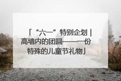 “六一”特别企划｜高墙内的团圆——一份特殊的儿童节礼物