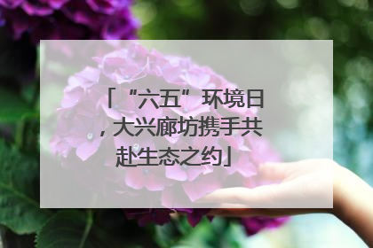 “六五”环境日，大兴廊坊携手共赴生态之约