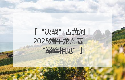 “决战”古黄河丨2025端午龙舟赛“巅峰相见”