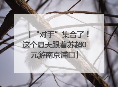 “对手”集合了！这个夏天跟着苏超0元游南京浦口
