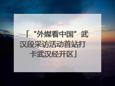 “外媒看中国”武汉段采访活动首站打卡武汉经开区