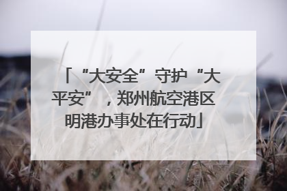 “大安全”守护“大平安”，郑州航空港区明港办事处在行动
