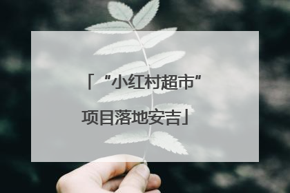 “小红村超市”项目落地安吉