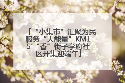 “小集市”汇聚为民服务“大能量”KM15′“香”街子学府社区开集迎端午