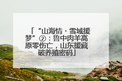 “山海情・雪域援梦”②:鲁中肉羊高原零伤亡,山东援藏破养殖密码