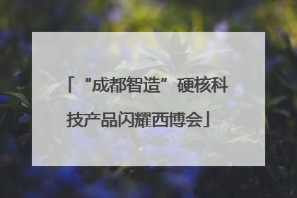 “成都智造”硬核科技产品闪耀西博会