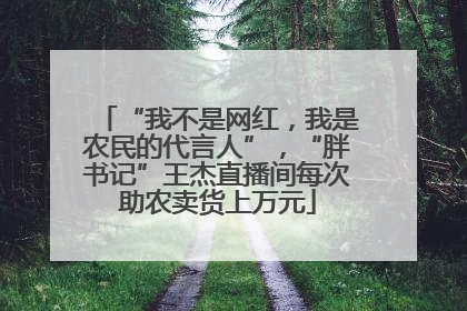 “我不是网红，我是农民的代言人”，“胖书记”王杰直播间每次助农卖货上万元