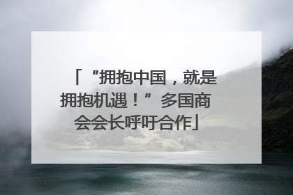 “拥抱中国，就是拥抱机遇！”多国商会会长呼吁合作