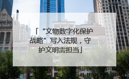 “文物数字化保护战略”写入法规，守护文明需担当