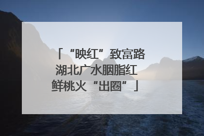 “映红”致富路 湖北广水胭脂红鲜桃火“出圈”