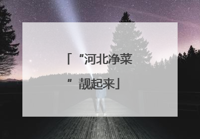 “河北净菜”靓起来