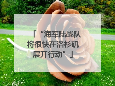 “海军陆战队将很快在洛杉矶展开行动”