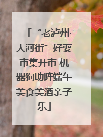 “老泸州·大河街”好耍市集开市 机器狗助阵端午美食美酒亲子乐