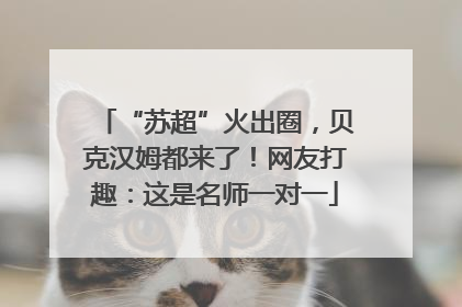 “苏超”火出圈，贝克汉姆都来了！网友打趣：这是名师一对一
