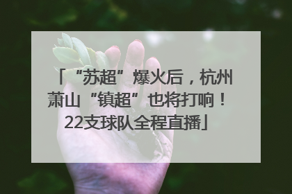 “苏超”爆火后，杭州萧山“镇超”也将打响！22支球队全程直播