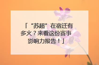 “苏超”在宿迁有多火？来看这份赛事影响力报告！