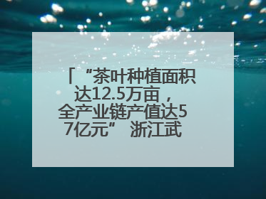“茶叶种植面积达12.5万亩，全产业链产值达57亿元” 浙江武义茶产业全链发展“加速度”