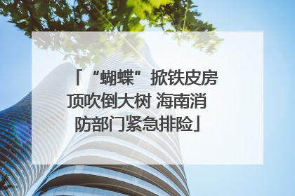 “蝴蝶”掀铁皮房顶吹倒大树 海南消防部门紧急排险