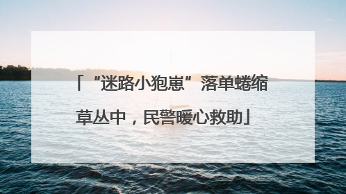 “迷路小狍崽”落单蜷缩草丛中，民警暖心救助