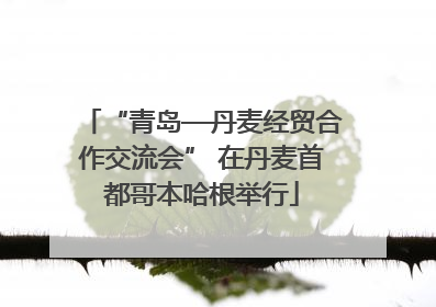 “青岛—丹麦经贸合作交流会” 在丹麦首都哥本哈根举行