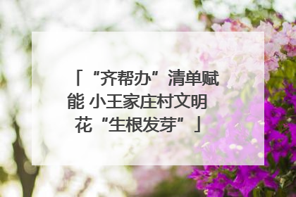 “齐帮办”清单赋能 小王家庄村文明花“生根发芽”