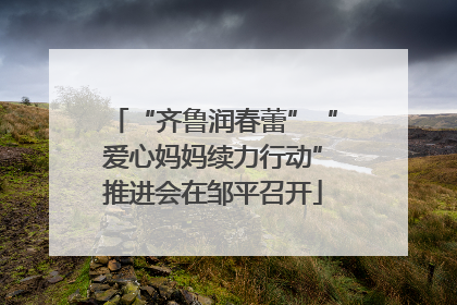 “齐鲁润春蕾”“爱心妈妈续力行动”推进会在邹平召开