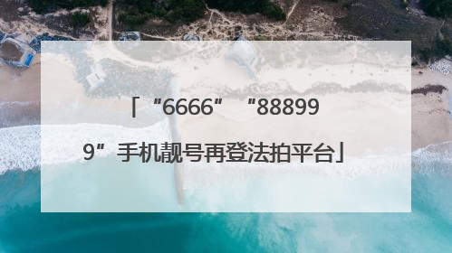 “6666”“888999”手机靓号再登法拍平台